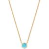 Kendra Scott Davie Pendant Necklace(18K GOLD VERMEIL – TURQUOISE)